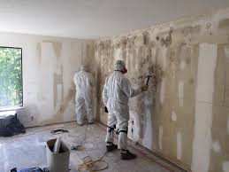 Why You Should Choose Our Mold Remediation Services in Abbeville, LA